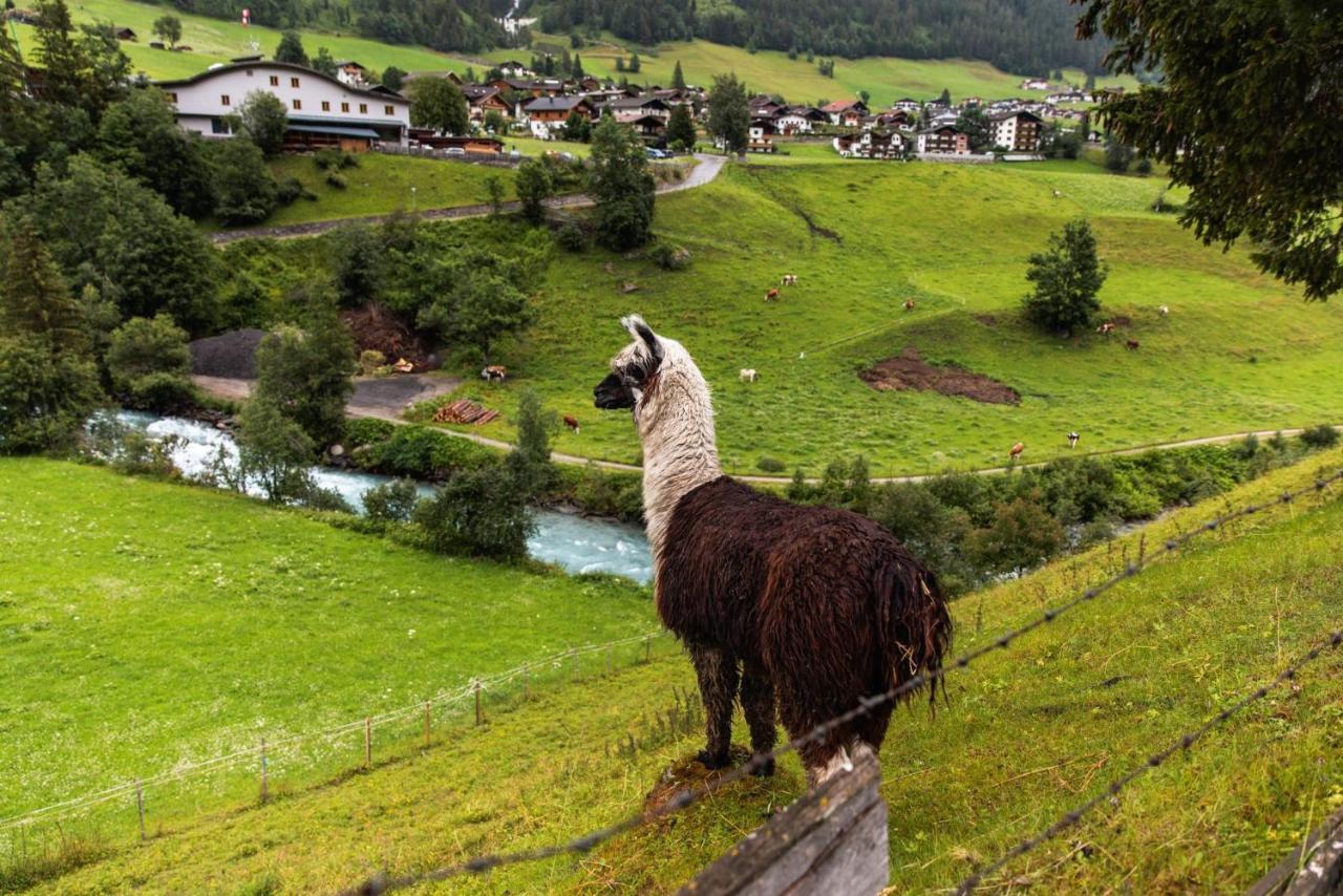 Ferienhaus Enzian Prägraten Exteriör bild